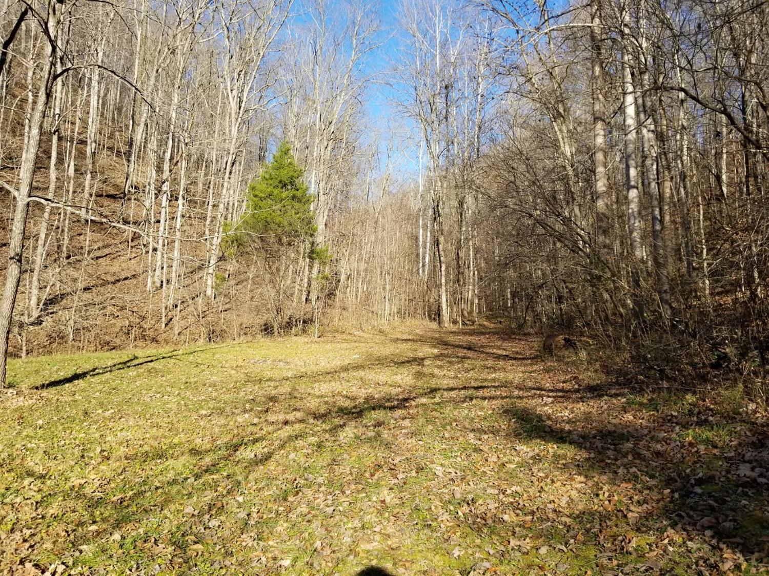 1670 Pointer Creek Road Science Hill, KY 42553 - Photo 26 of 41 28097_22