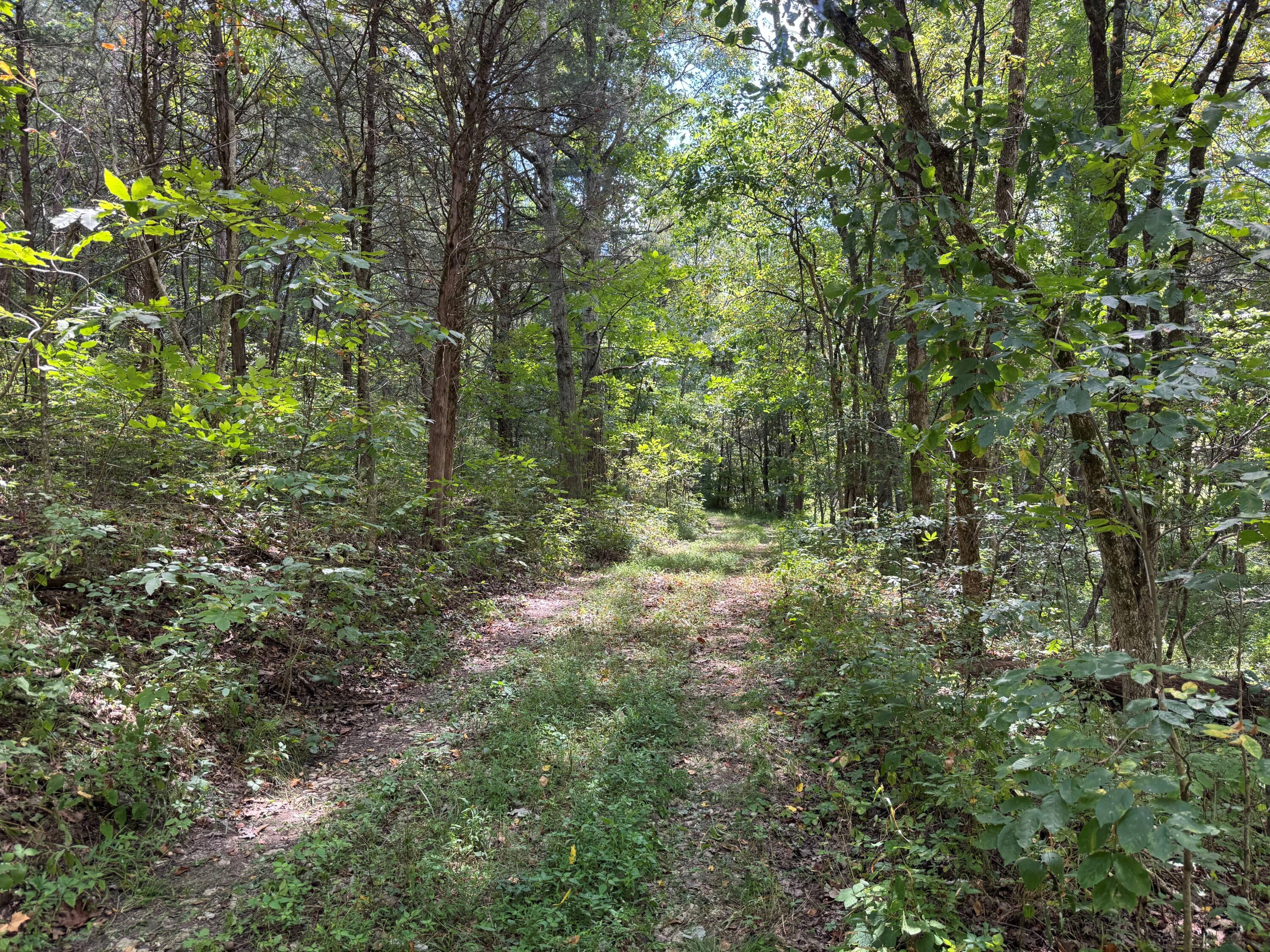 0 Caney Creek Road Owenton, KY 40359 - Photo 35 of 35