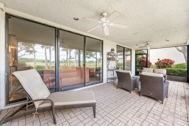 a view of a garden with a tree