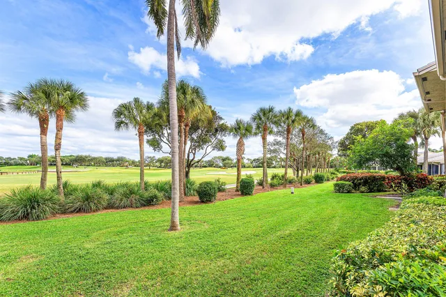 a view of a lake with a yard and palm trees