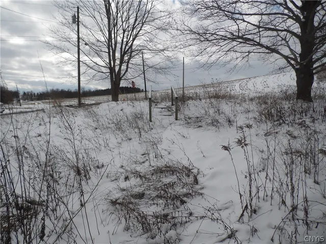 $17,000 | 11796 Bradt Road, Ira, NY 13033