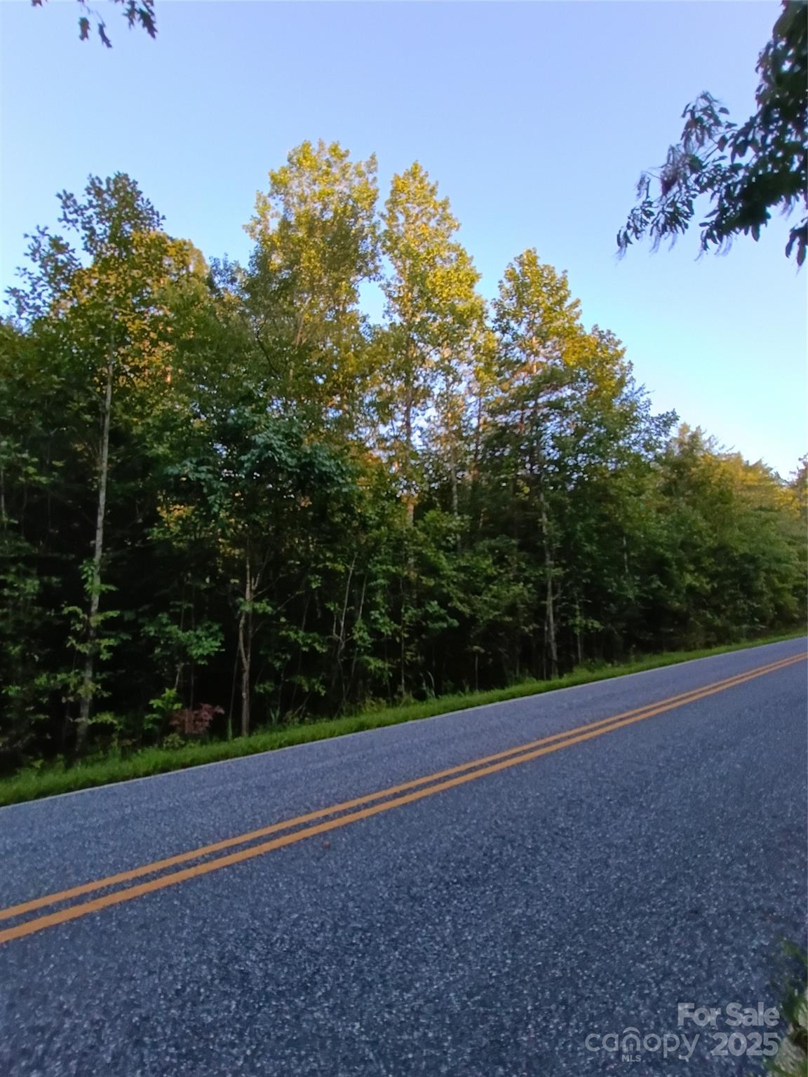 a view of a field with trees in background