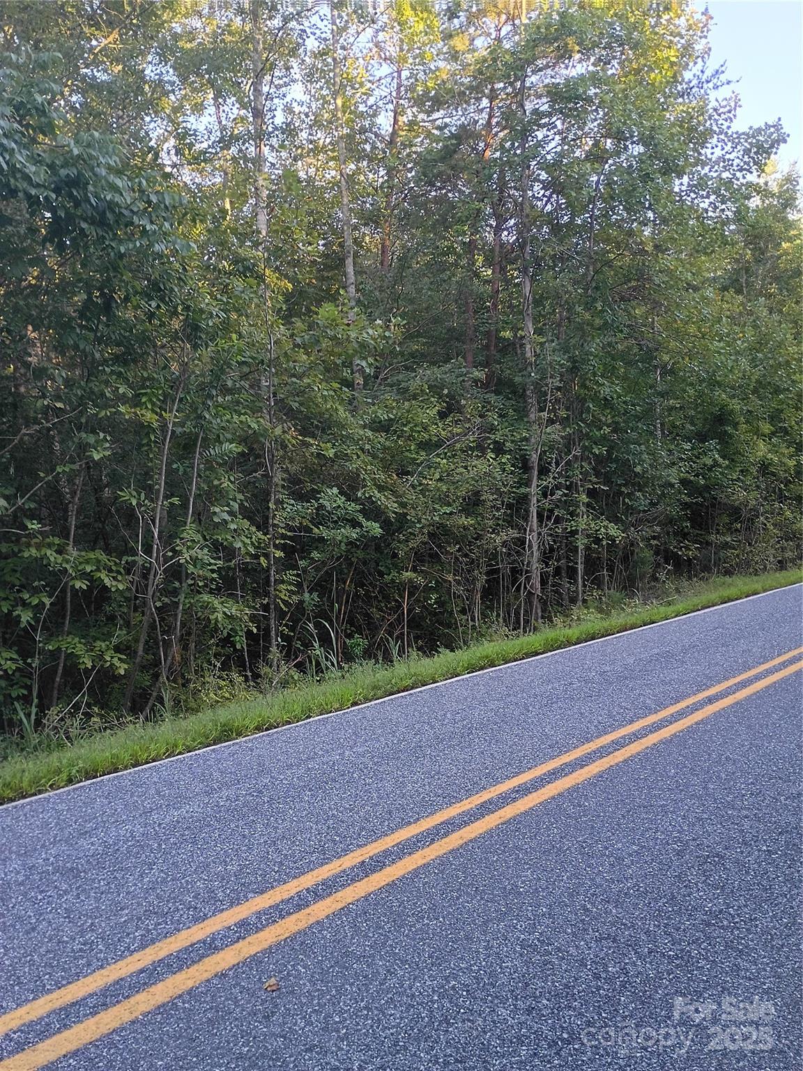 0 Toney Road Bostic, NC 28018 - Photo 3 of 11 a view of a tennis court