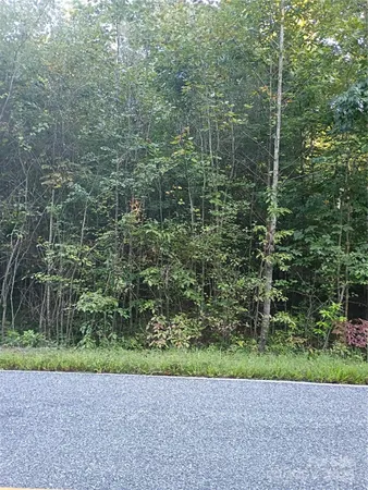a view of a garden with plants