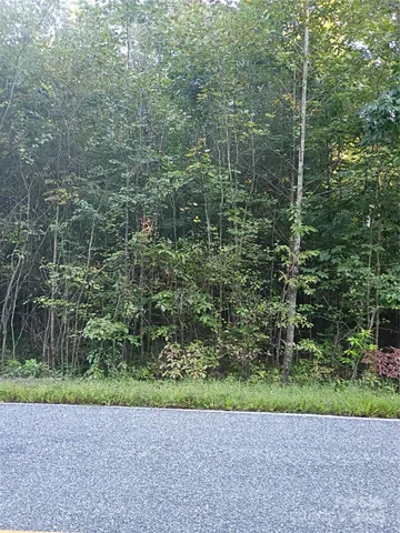 a view of a garden with plants