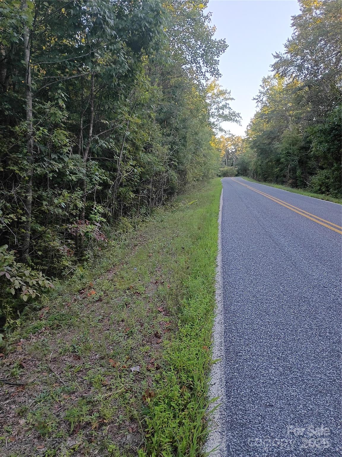 0 Toney Road Bostic, NC 28018 - Photo 8 of 11 a view of a field with plants and trees