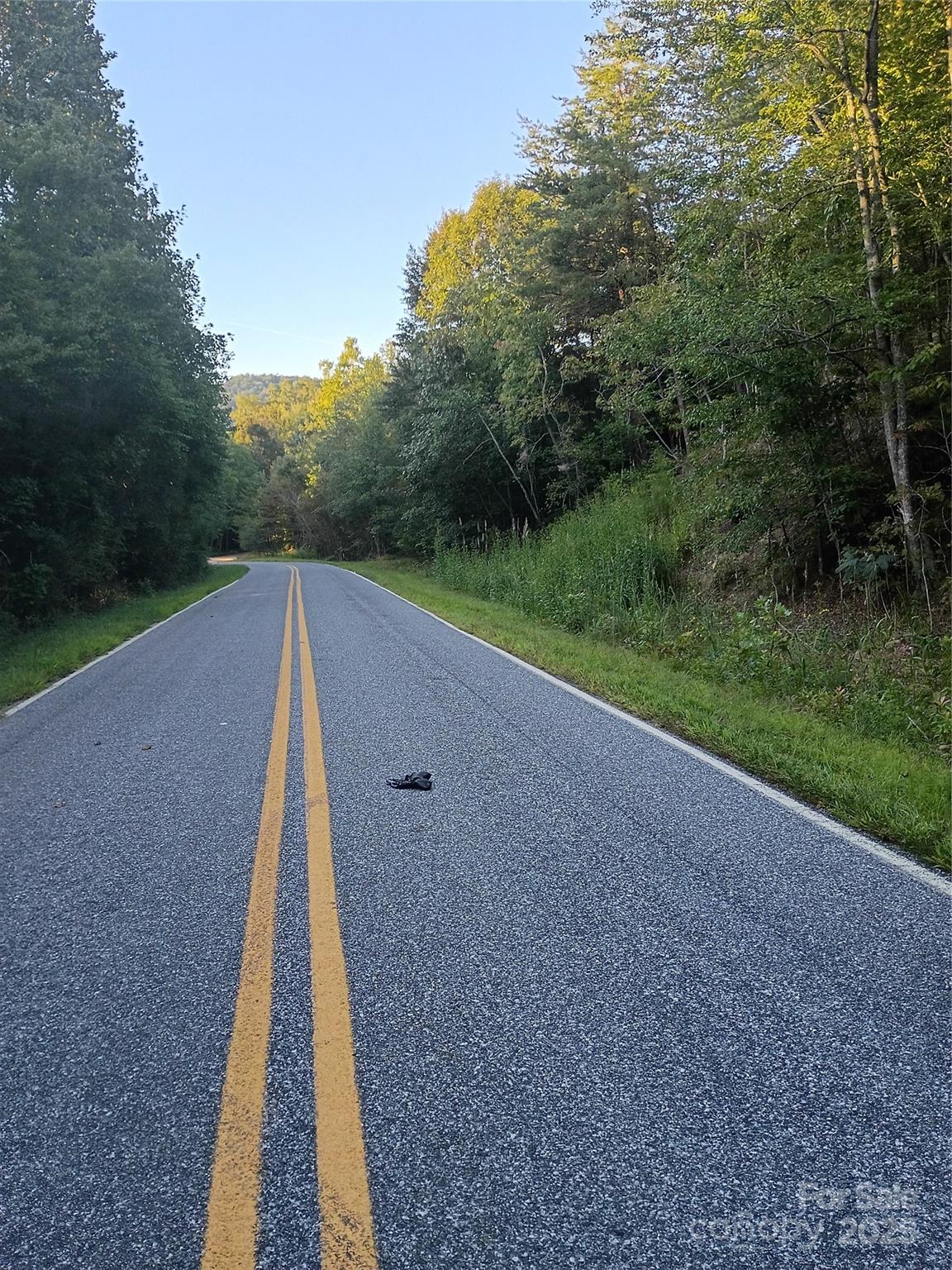 0 Toney Road Bostic, NC 28018 - Photo 9 of 11 a view of a yard with a wooden fence