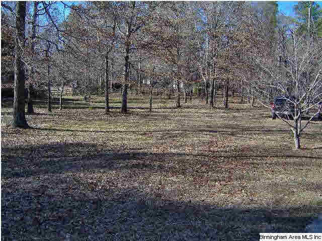 6232 Cahaba Valley Road, Unit 4 Birmingham, AL 35242 - Photo 1 of 2