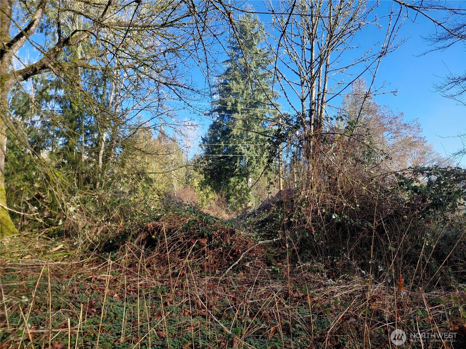 427 Peters Road Randle, WA 98377 - Photo 11 of 39