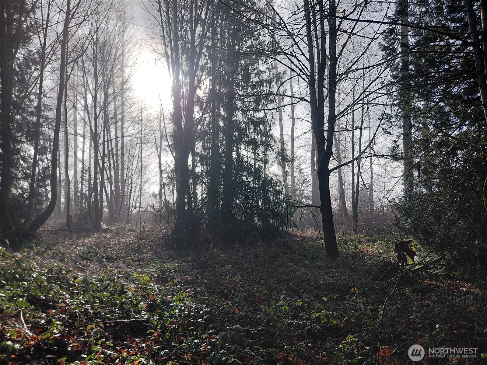 427 Peters Road Randle, WA 98377 - Photo 14 of 39