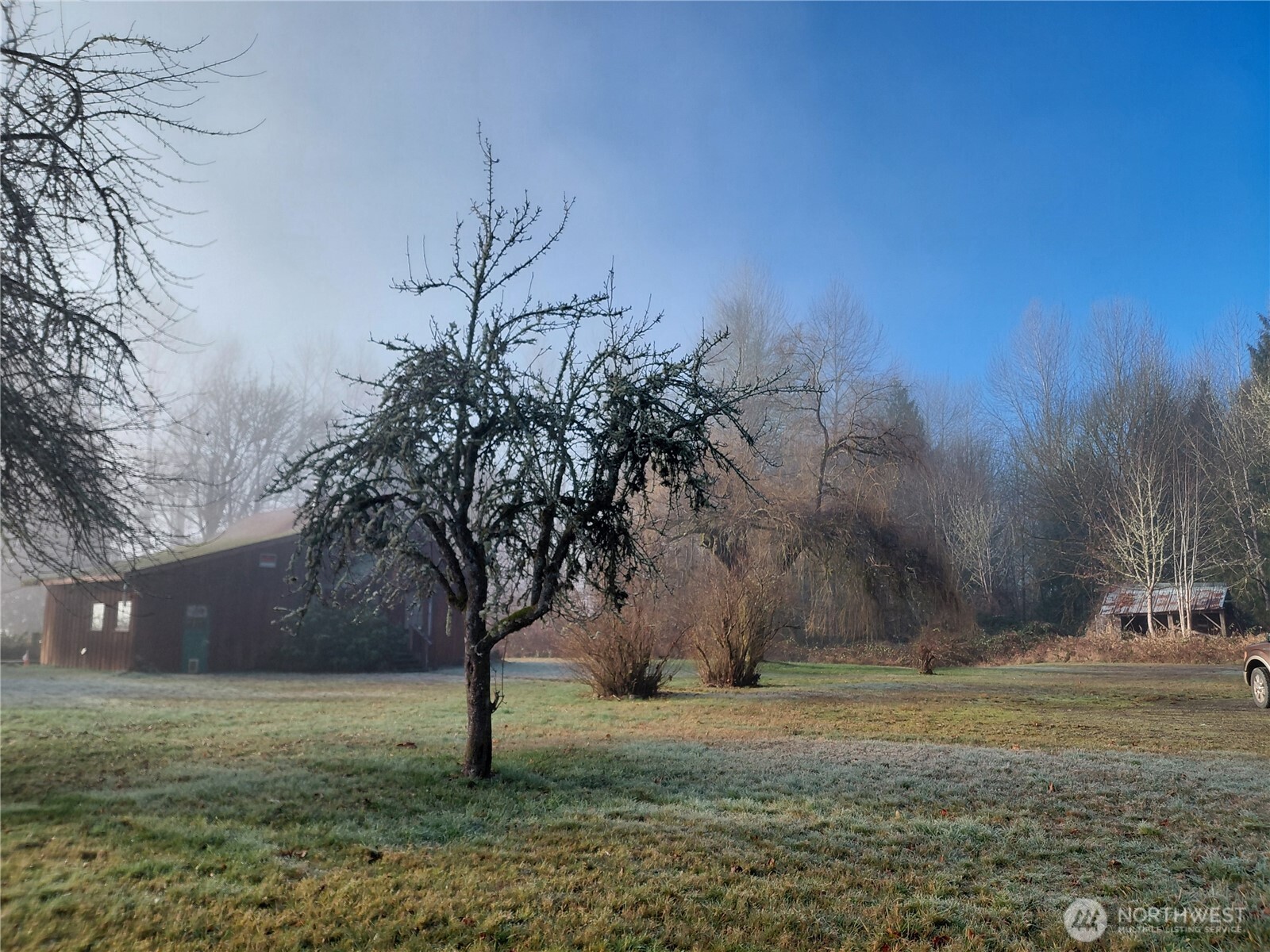 427 Peters Road Randle, WA 98377 - Photo 2 of 39