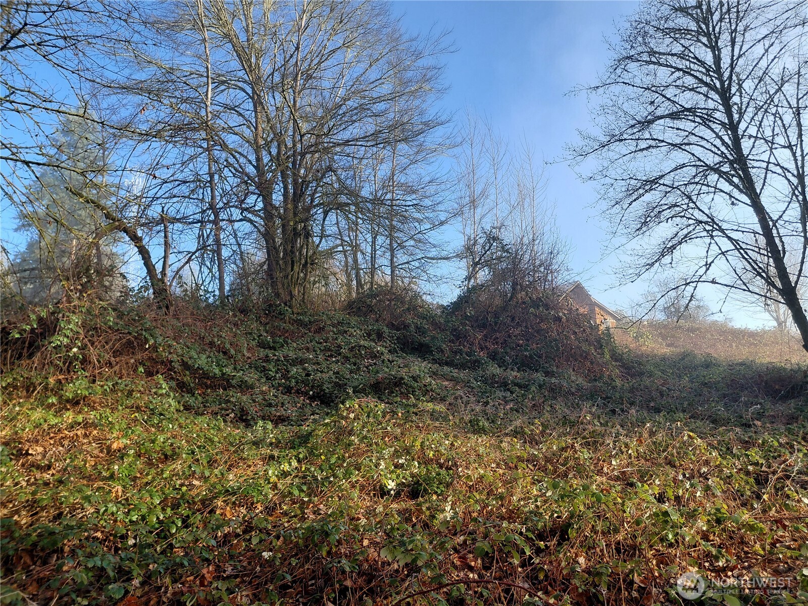 427 Peters Road Randle, WA 98377 - Photo 22 of 39