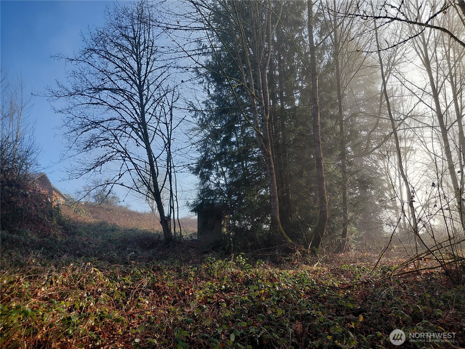 427 Peters Road Randle, WA 98377 - Photo 23 of 39