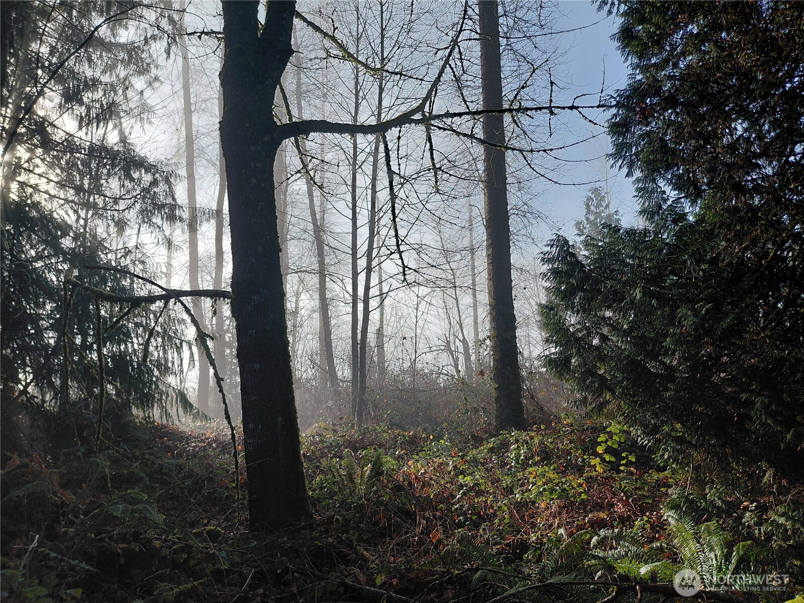 427 Peters Road Randle, WA 98377 - Photo 24 of 39