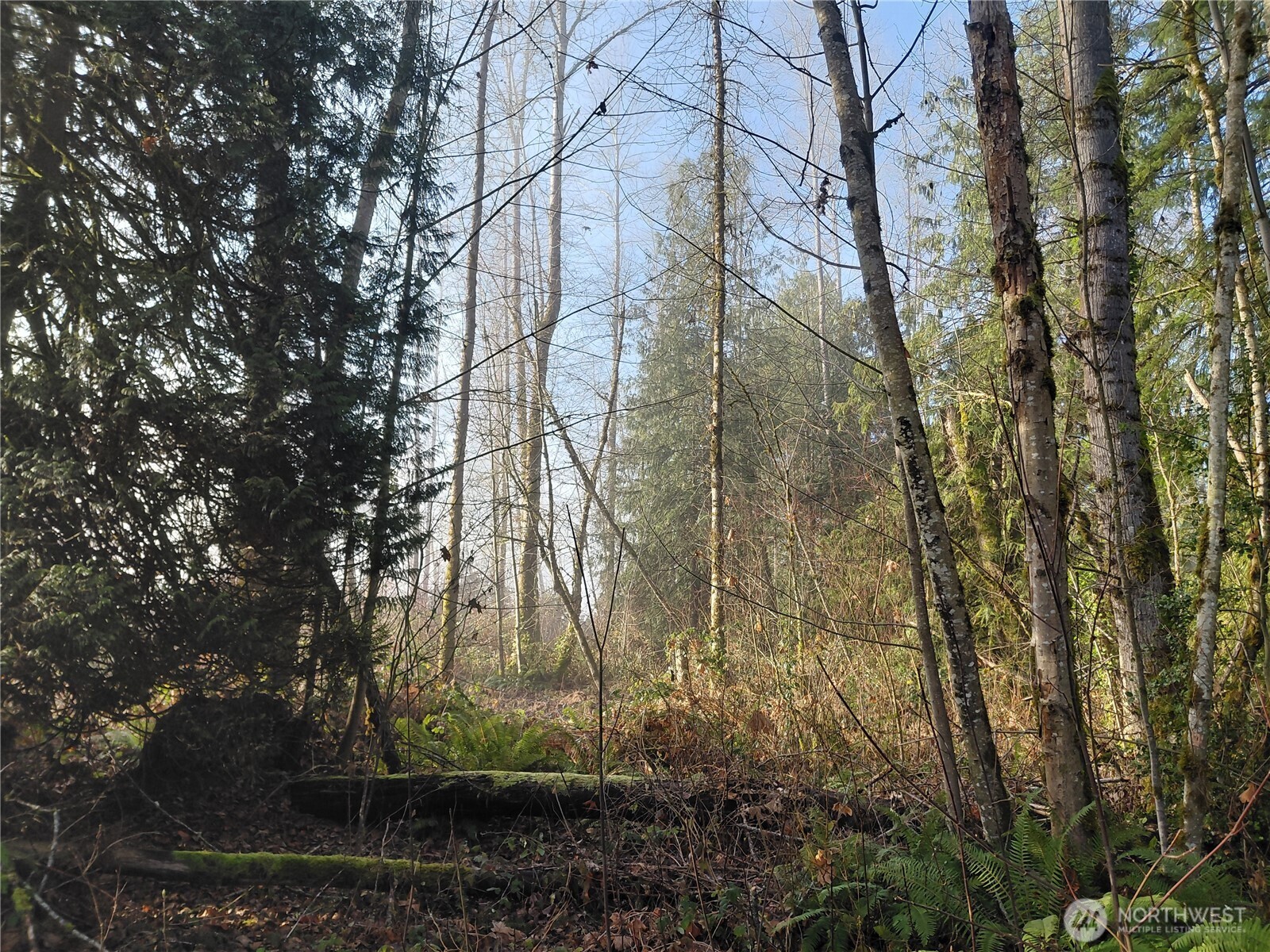 427 Peters Road Randle, WA 98377 - Photo 27 of 39