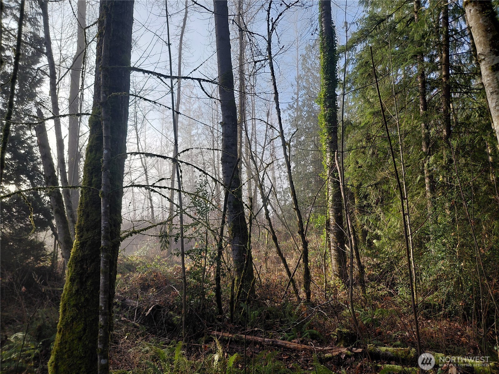 427 Peters Road Randle, WA 98377 - Photo 28 of 39