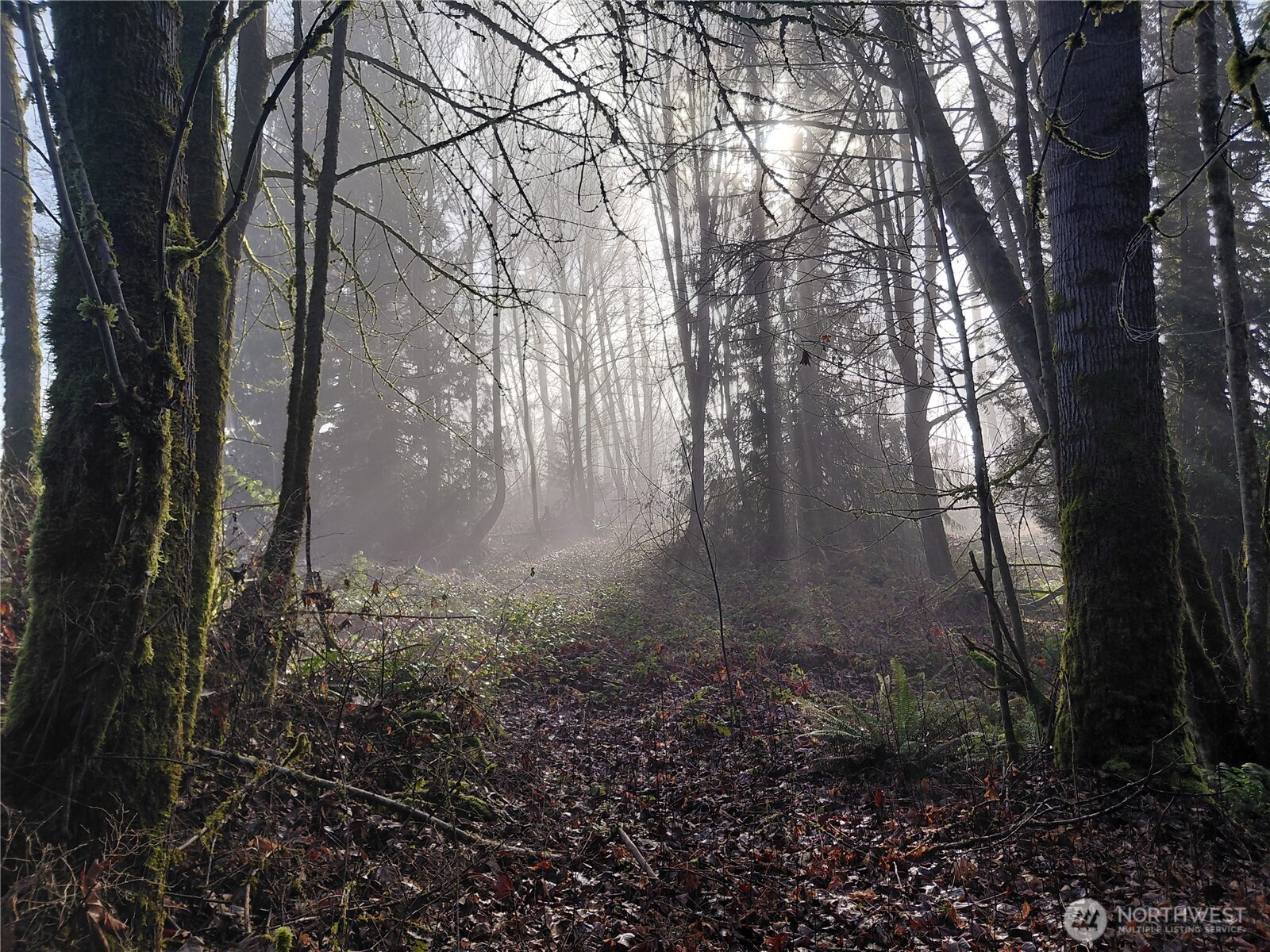 427 Peters Road Randle, WA 98377 - Photo 29 of 39