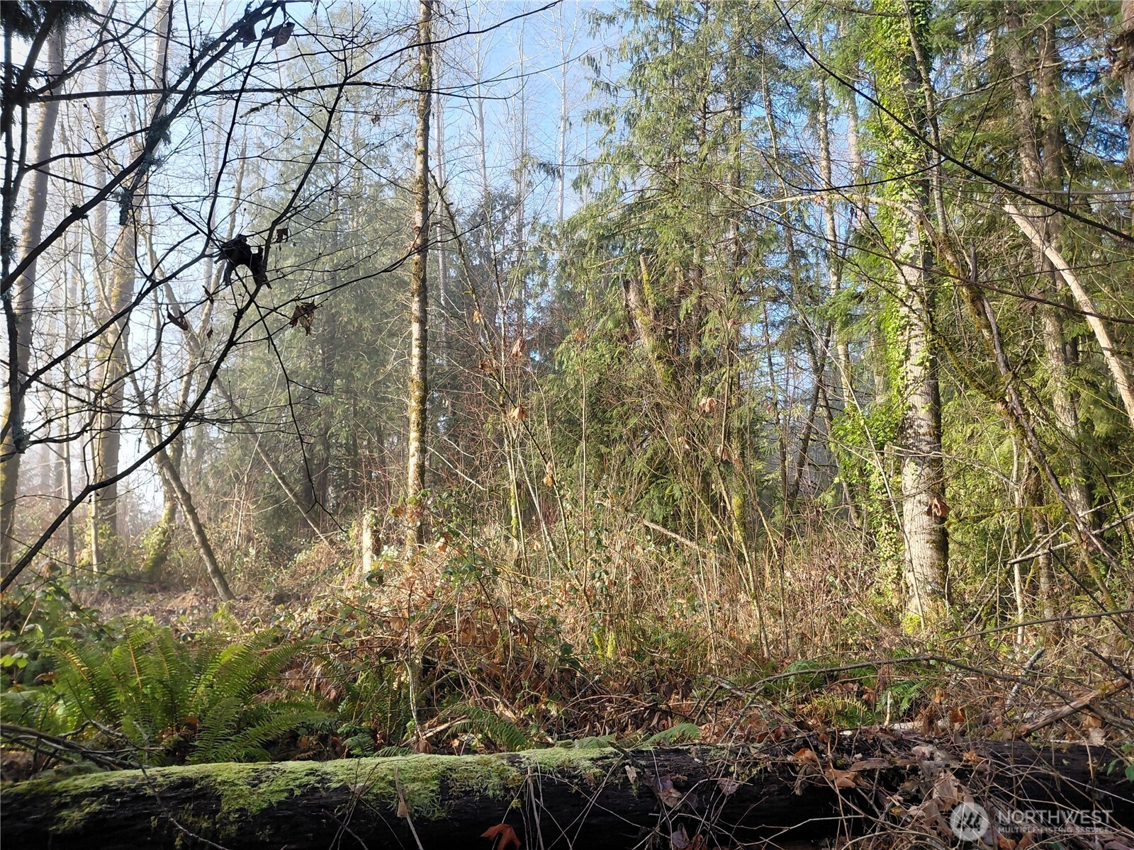 427 Peters Road Randle, WA 98377 - Photo 30 of 39