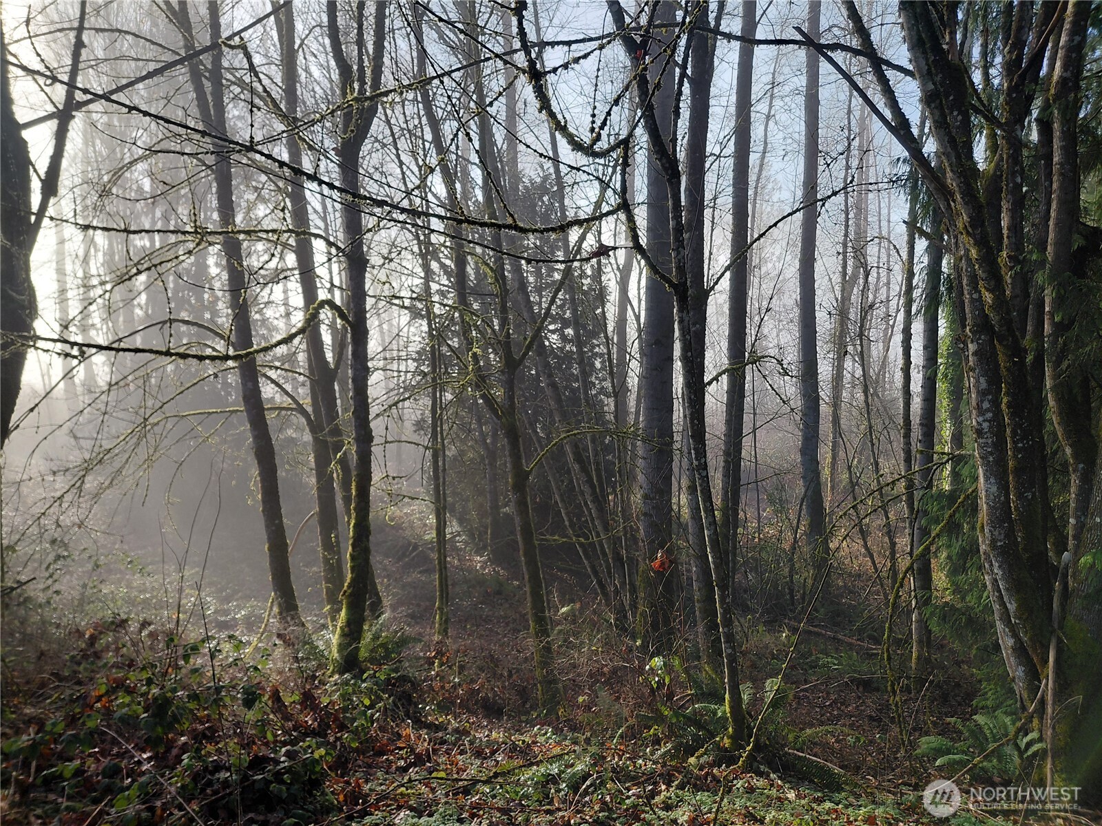 427 Peters Road Randle, WA 98377 - Photo 31 of 39