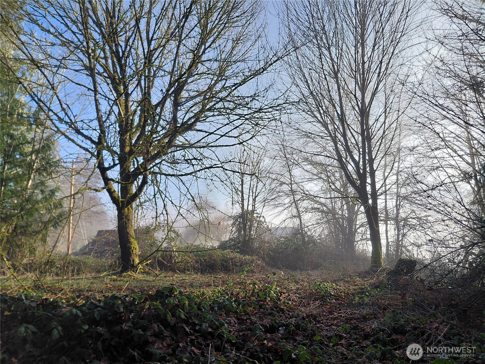 427 Peters Road Randle, WA 98377 - Photo 32 of 39