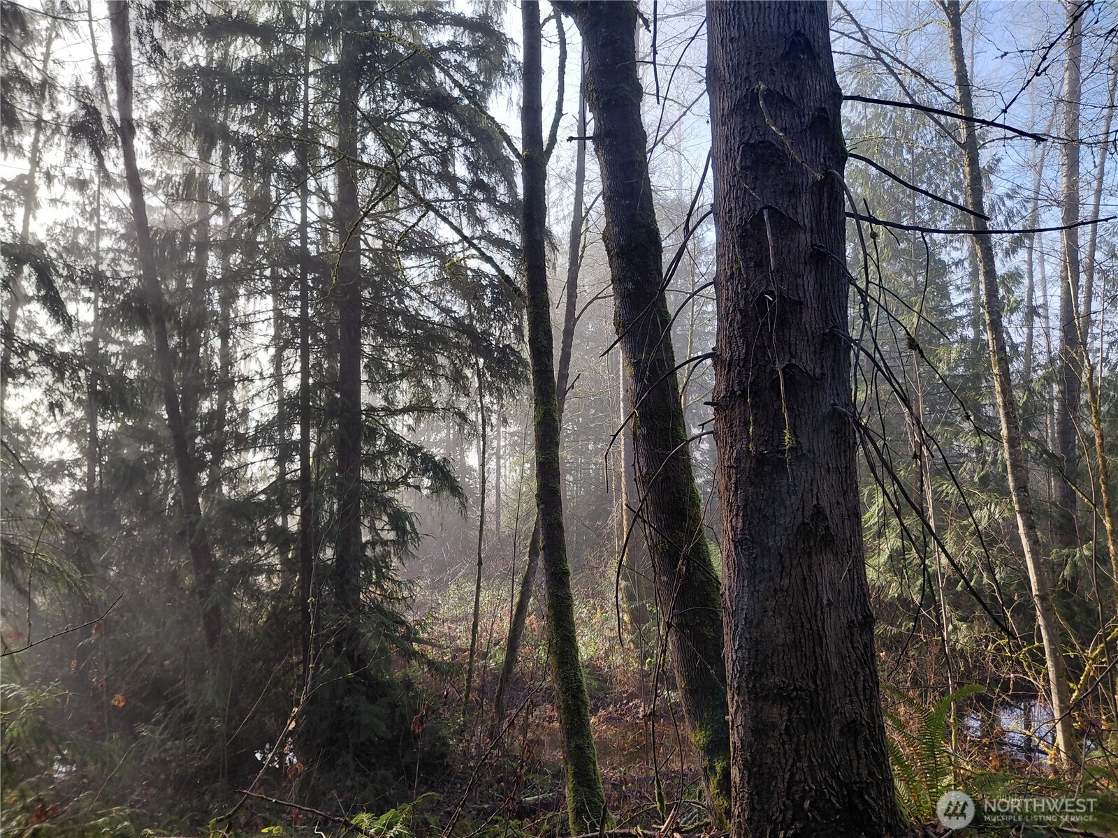 427 Peters Road Randle, WA 98377 - Photo 34 of 39