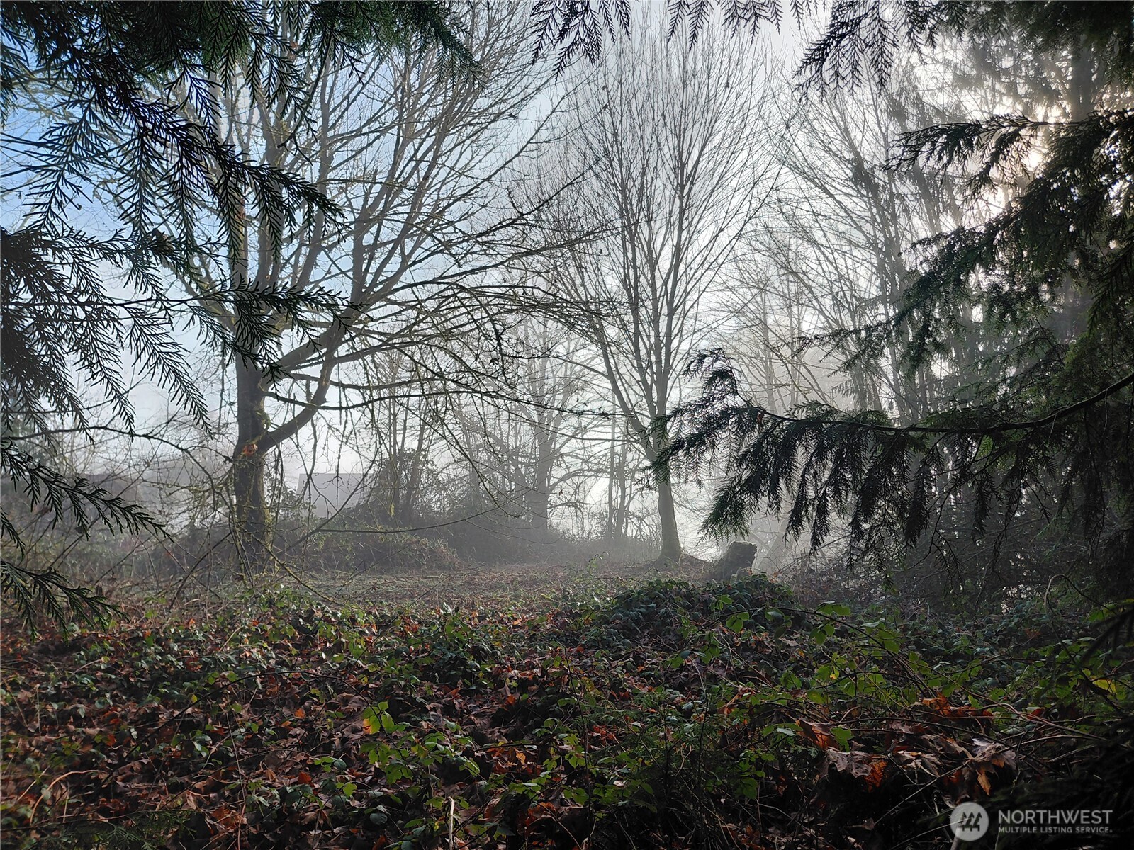 427 Peters Road Randle, WA 98377 - Photo 37 of 39