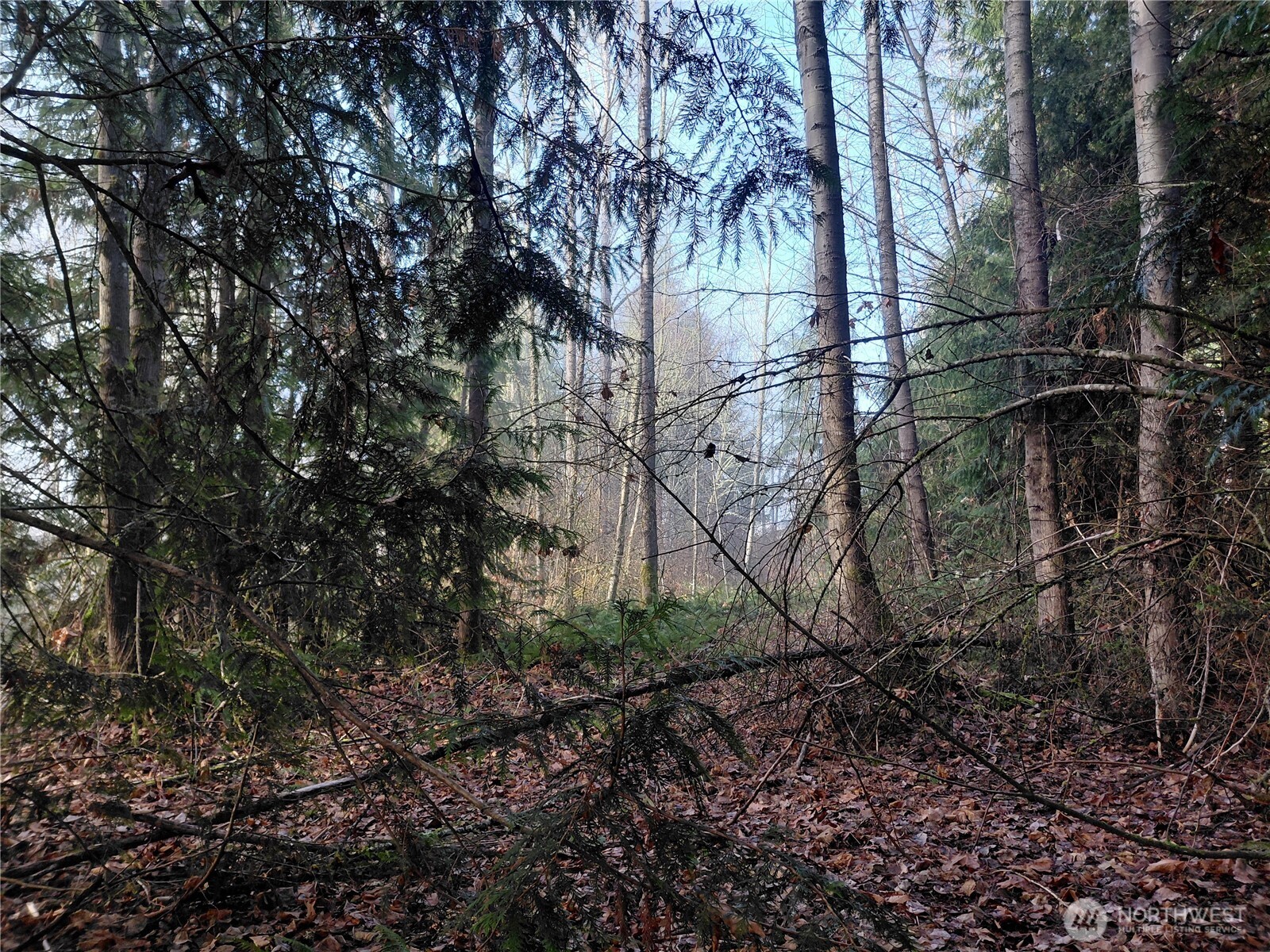 427 Peters Road Randle, WA 98377 - Photo 38 of 39