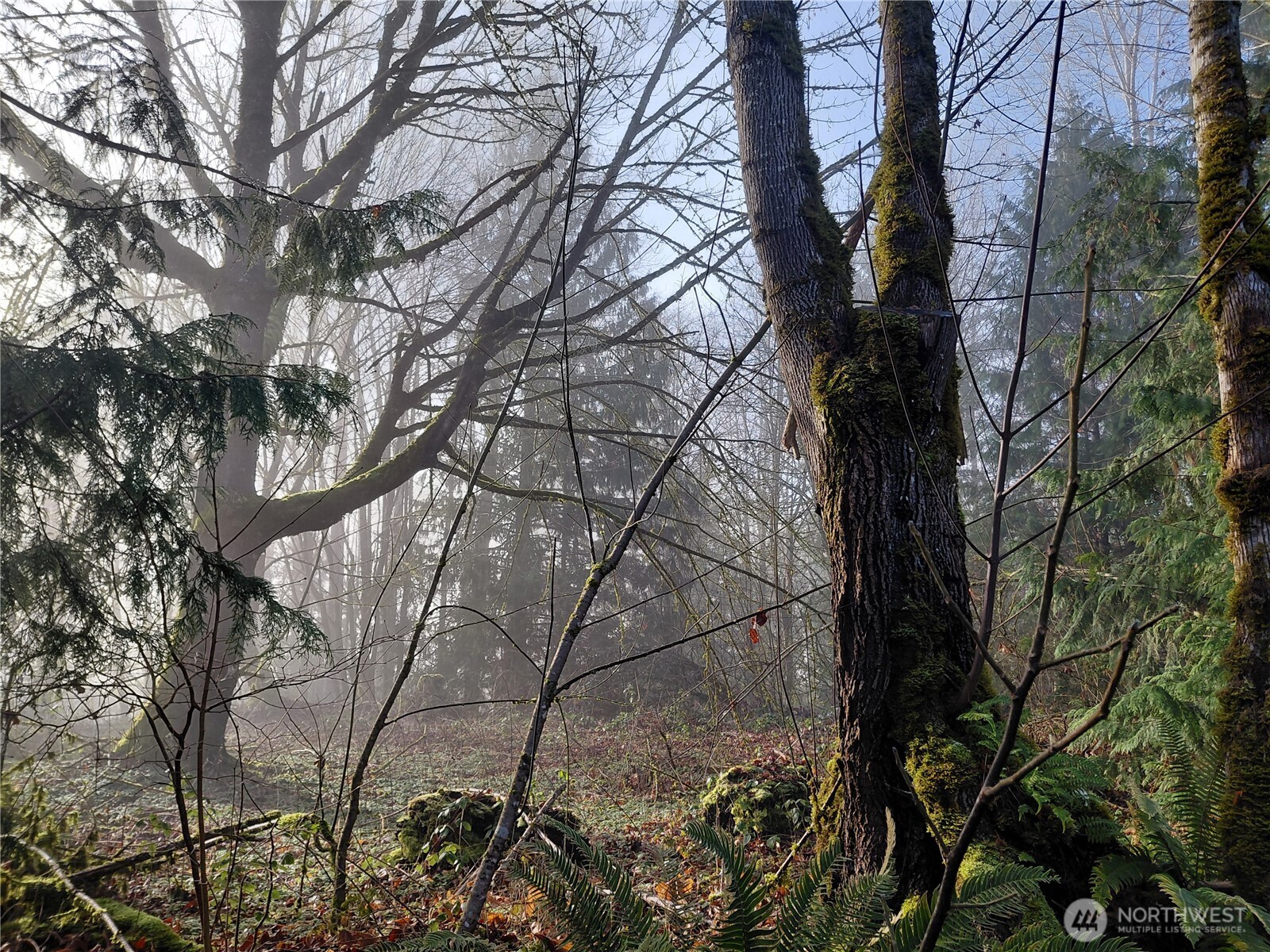 427 Peters Road Randle, WA 98377 - Photo 39 of 39