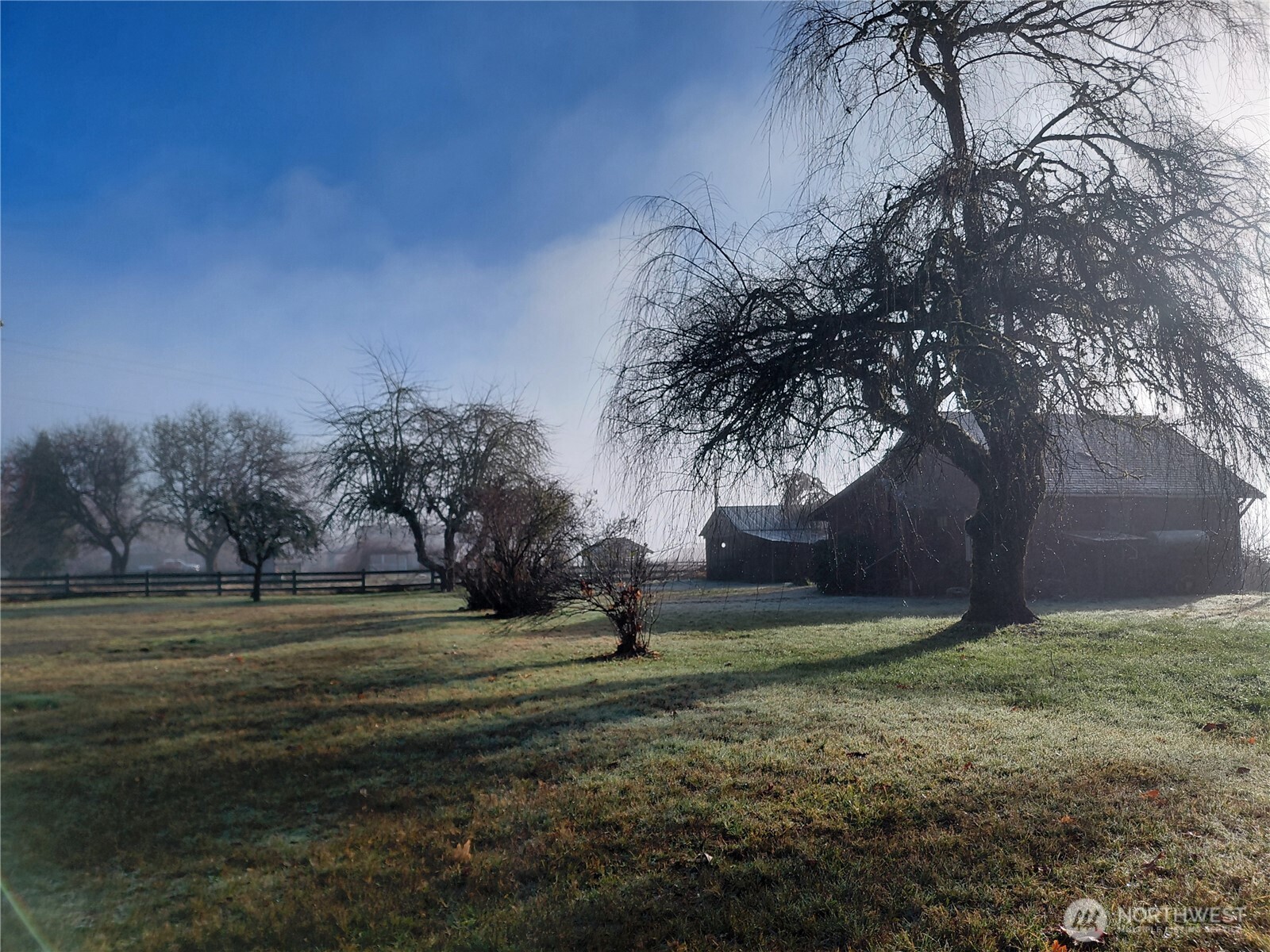 427 Peters Road Randle, WA 98377 - Photo 4 of 39