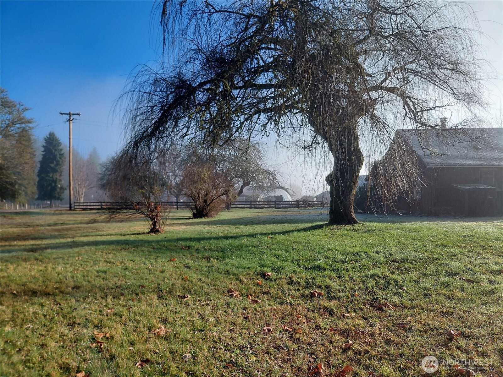 427 Peters Road Randle, WA 98377 - Photo 5 of 39