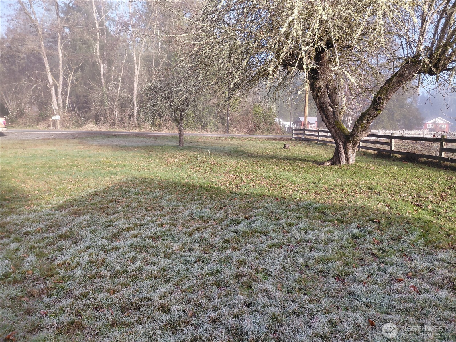 427 Peters Road Randle, WA 98377 - Photo 7 of 39