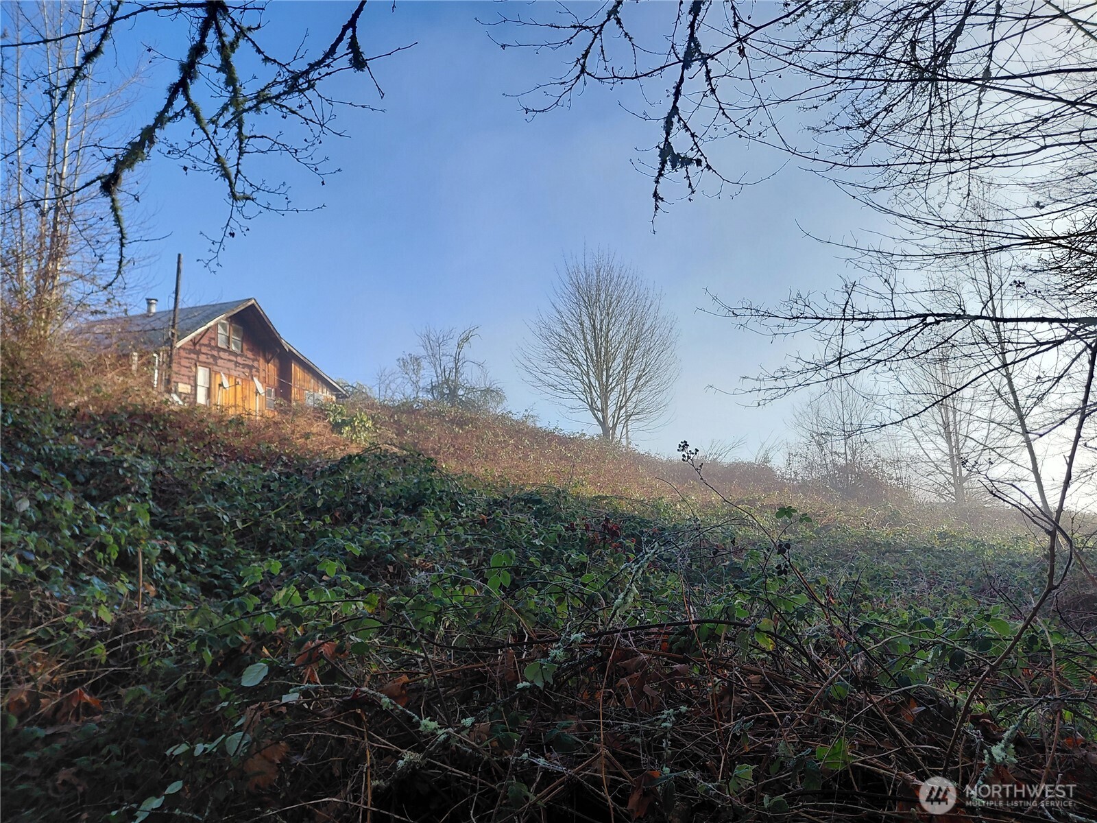 427 Peters Road Randle, WA 98377 - Photo 9 of 39