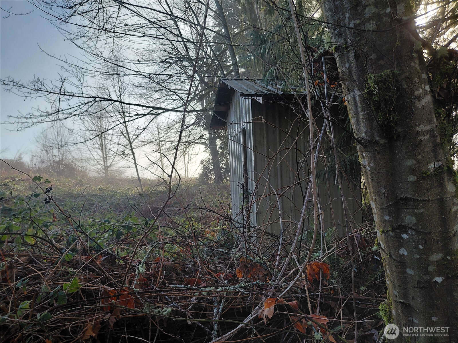 427 Peters Road Randle, WA 98377 - Photo 10 of 39