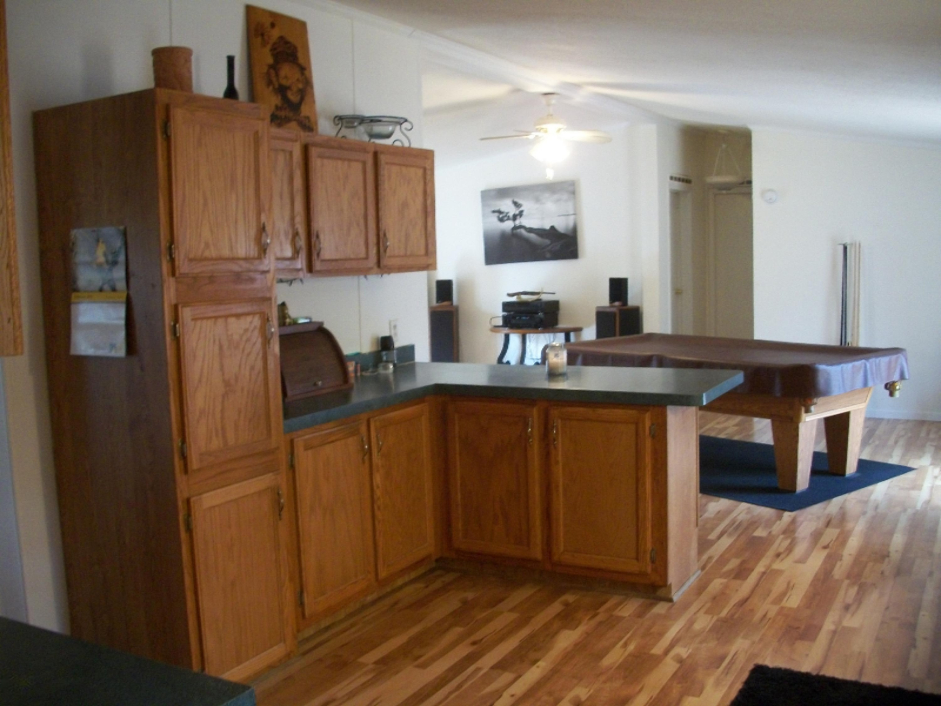 7019 Cutler Road Lakeview, MI 48850 - Photo 17 of 21 100_3044