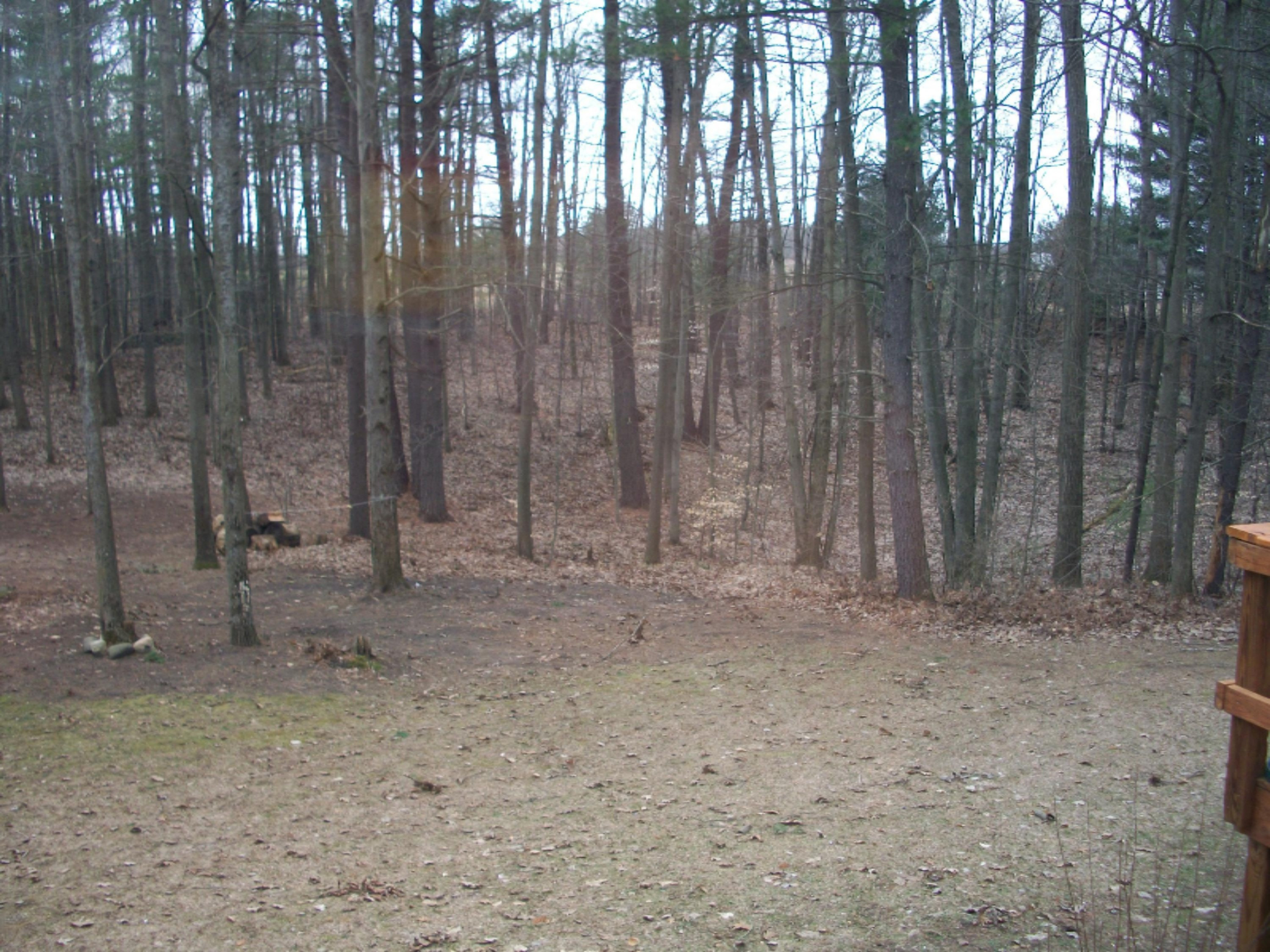 7019 Cutler Road Lakeview, MI 48850 - Photo 4 of 21 100_3021