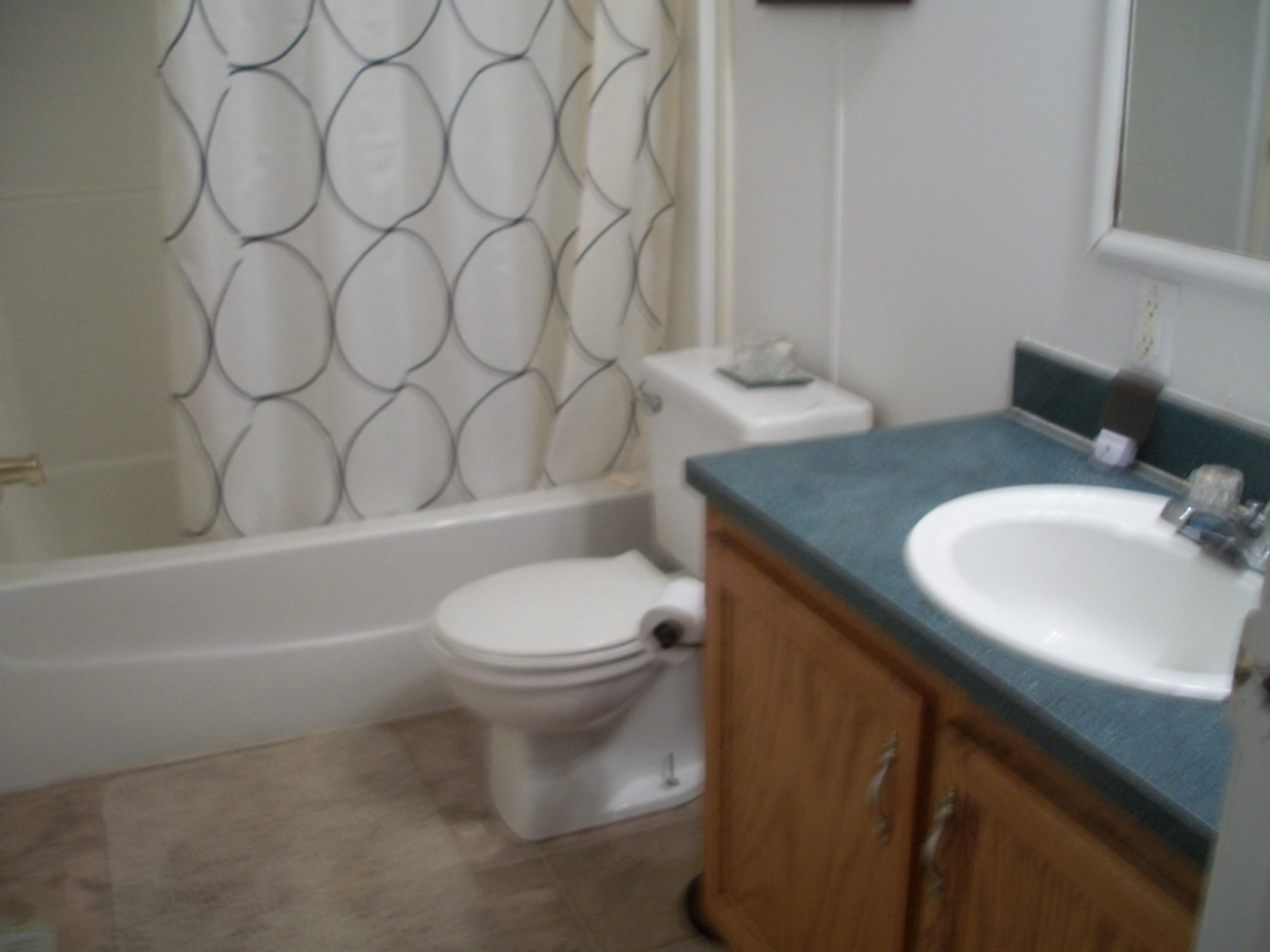 7019 Cutler Road Lakeview, MI 48850 - Photo 7 of 21 100_3026
