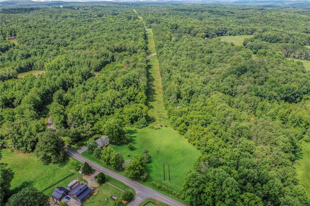 0 Upper Bethany Road Canton, GA 30114 - Photo 12 of 15 a view of a lush green forest with a street