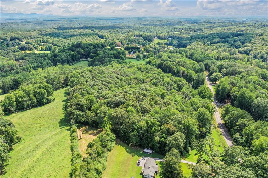 0 Upper Bethany Road Canton, GA 30114 - Photo 2 of 15 a view of a lush green forest with lots of trees