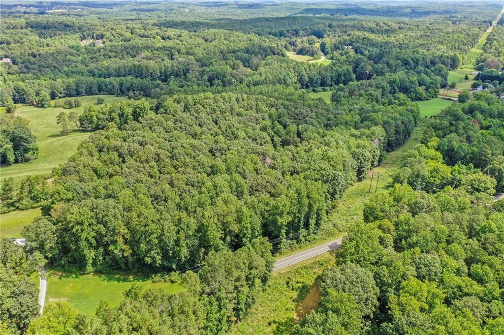 0 Upper Bethany Road Canton, GA 30114 - Photo 8 of 15 a view of a lush green forest with a trees
