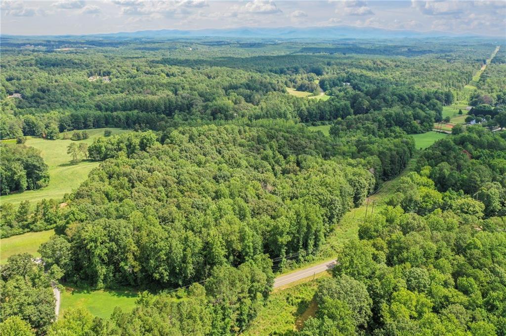 0 Upper Bethany Road Canton, GA 30114 - Photo 9 of 15 a view of a lush green forest with lots of trees