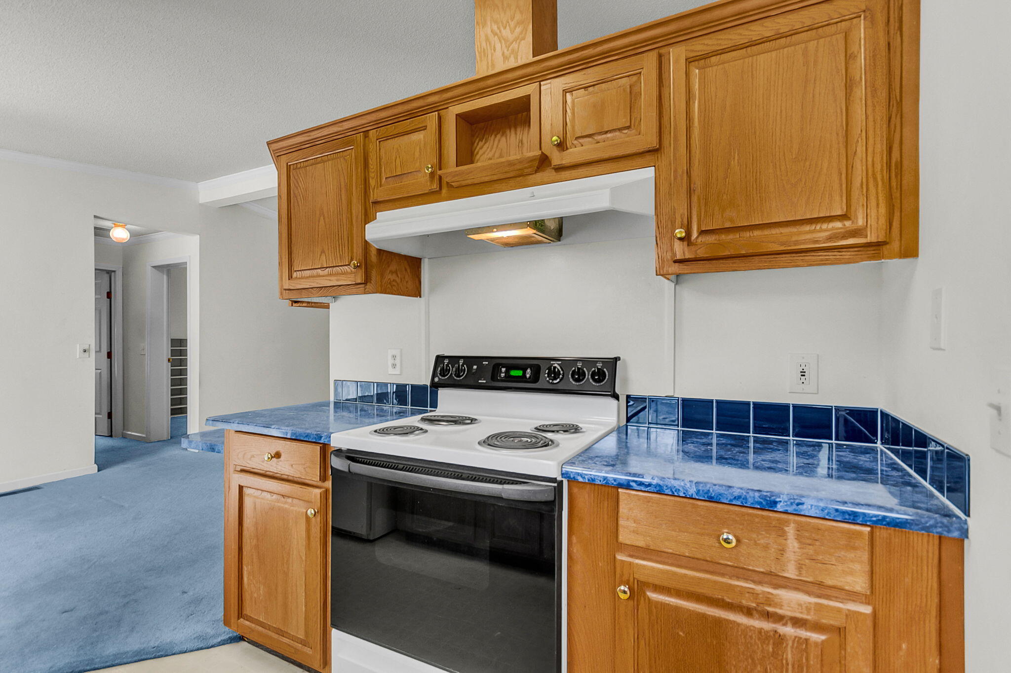 115 Decker Court Moncks Corner, SC 29461 - Photo 12 of 30 CREM - 115 Decker-18