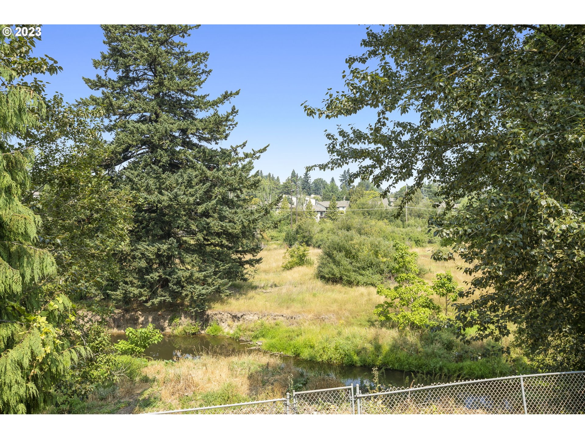 803 Southwest 4th Street Gresham, OR 97080 - Photo 31 of 42 a view of a tree with a tree