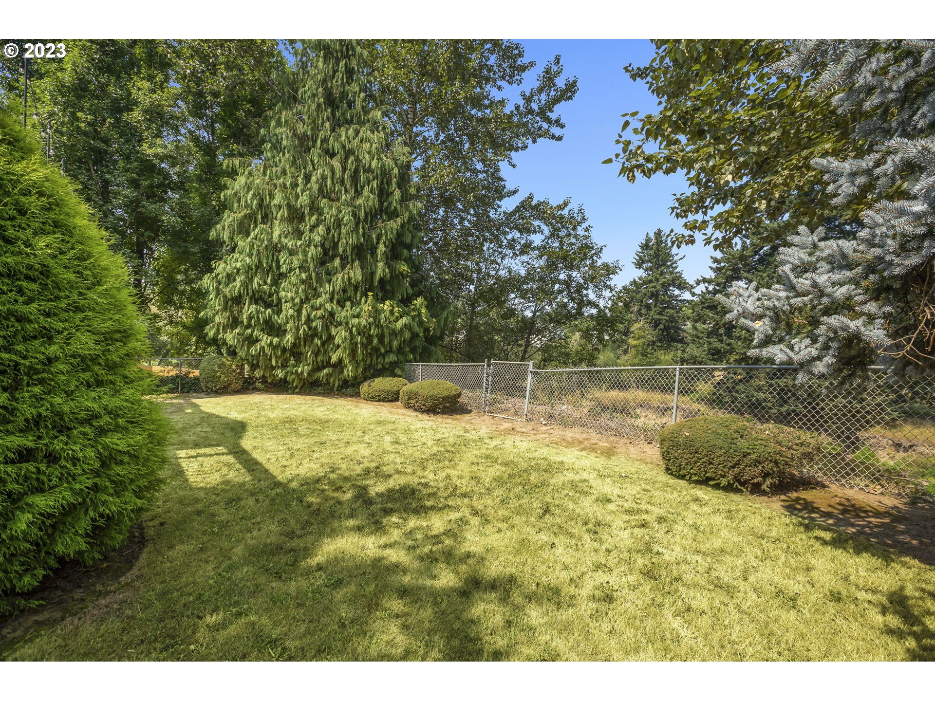 803 Southwest 4th Street Gresham, OR 97080 - Photo 33 of 42 a backyard of a house with lots of green space