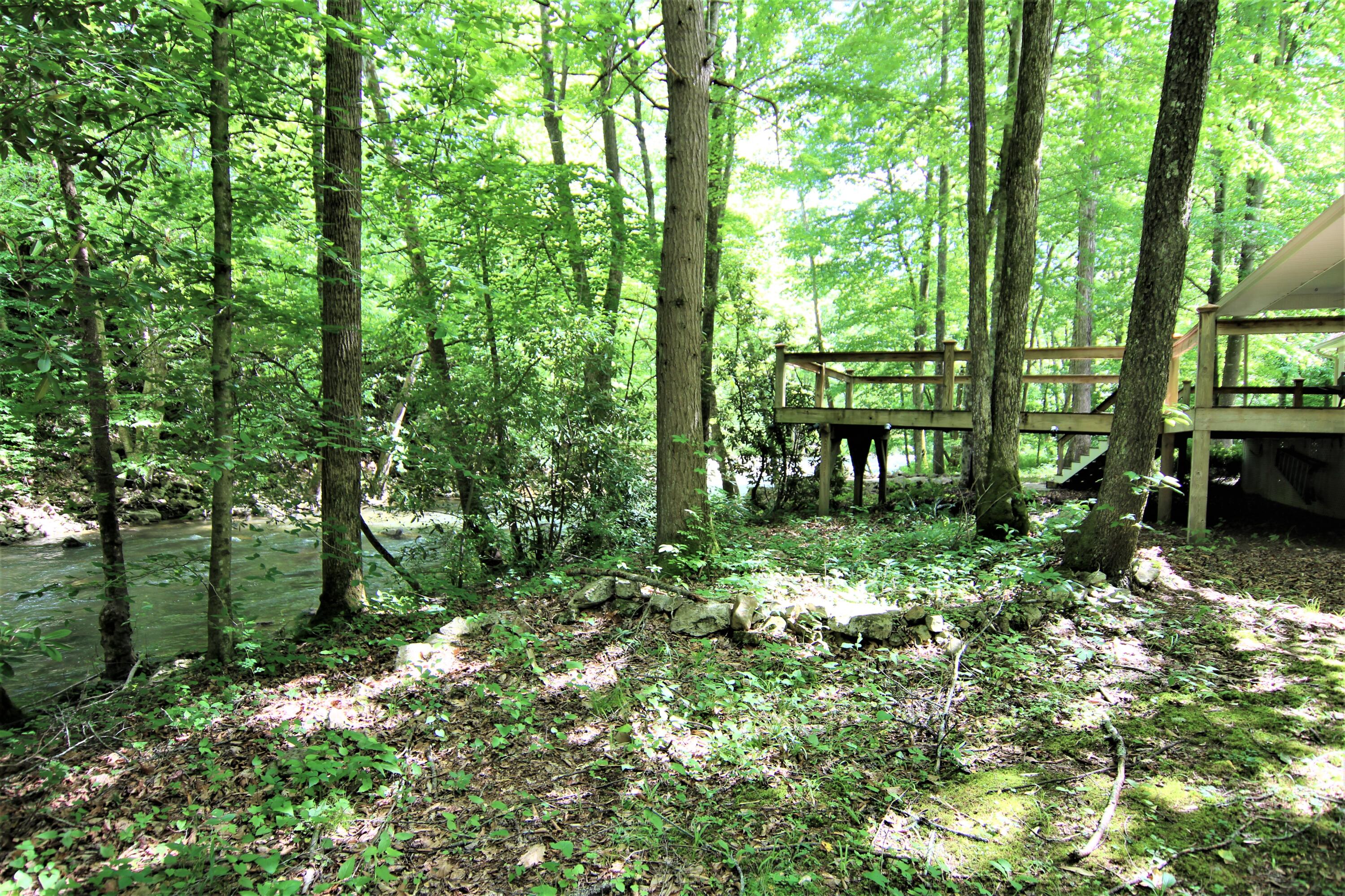 300 Williams Lane Butler, TN 37640 - Photo 34 of 45 IMG_0888 (2)