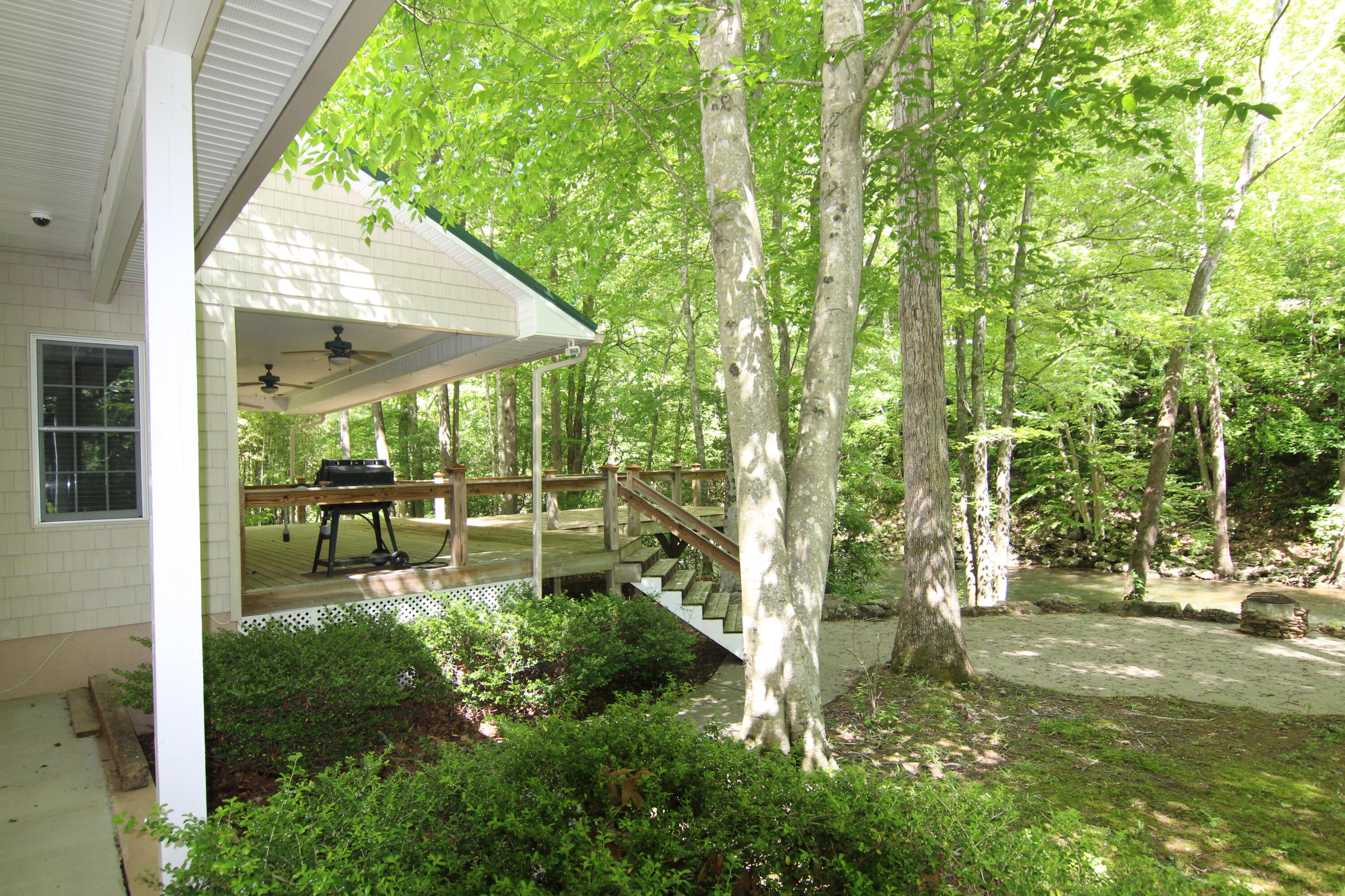 300 Williams Lane Butler, TN 37640 - Photo 41 of 45 IMG_0870