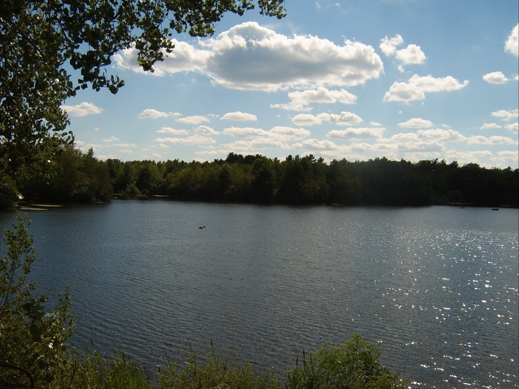 25 Spring Lane Holbrook, MA 02343 - Photo 8 of 10