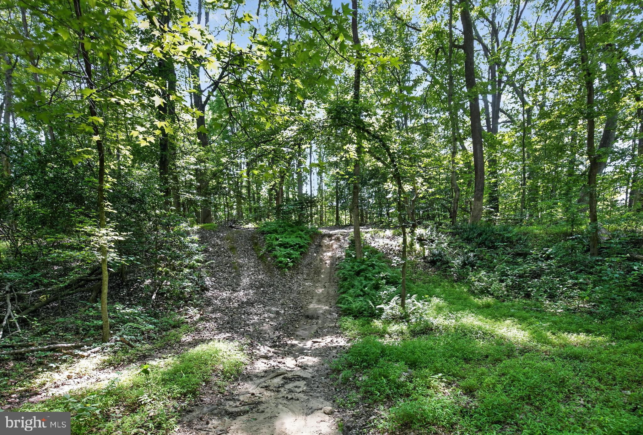 11450 Edge Hill Road Newburg, MD 20664 - Photo 53 of 65 trails in woods
