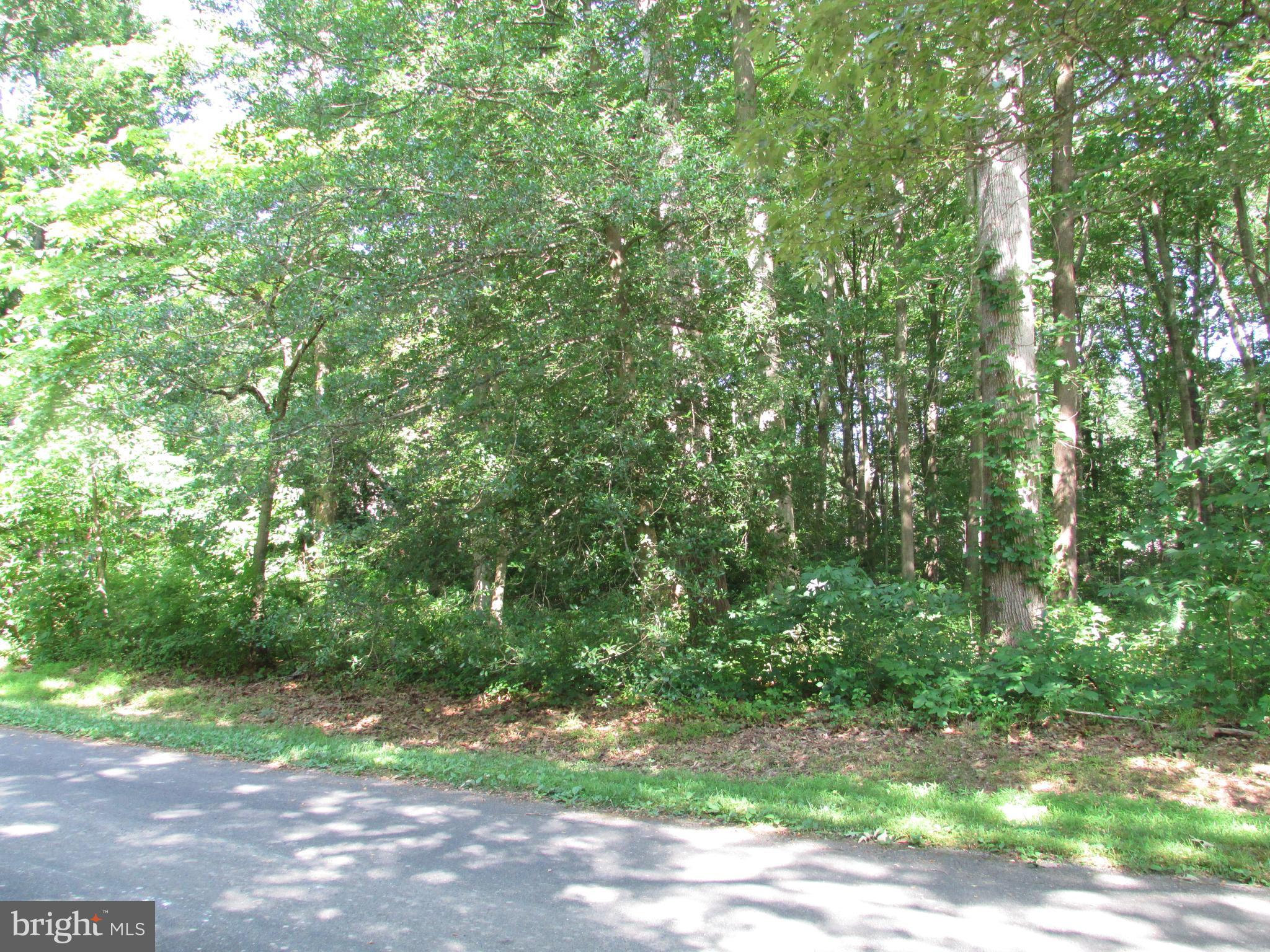 296 Pond Road Millsboro, DE 19966 - Photo 2 of 5 Gallery Image 2