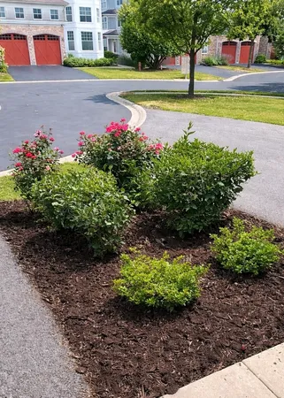 $545,000 | 21889 West Talia Lane, Deer Park, IL 60010