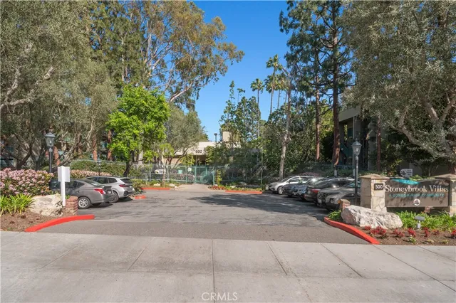 a view of a park with large trees